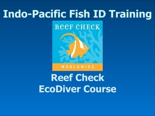 Indo-Pacific Fish ID Training Reef Check EcoDiver Course 