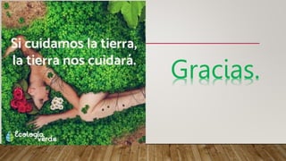 Gracias.
 