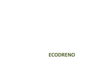 ECODRENO 