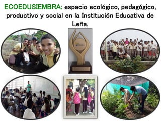 ECOEDUSIEMBRA: espacio ecológico, pedagógico,
productivo y social en la Institución Educativa de
Leña.
 