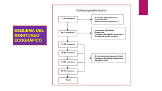 ESQUEMA DEL
MONITOREO
ECOGRÁFICO
 