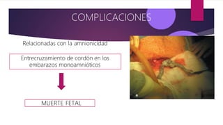 Relacionadas con la amnionicidad
Entrecruzamiento de cordón en los
embarazos monoamnióticos
MUERTE FETAL
COMPLICACIONES
 