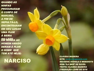 QUANDO AS NINFAS  PROCURARAM O CORPO DE NARCISO,  A FIM DE  SEPULTÁ-LO, ENCONTRARAM EM SEU LUGAR UMA FLOR À BEIRA DO LAGO. EM HONRA AO HOMEM AMADO DERAM À FLOR O NOME  QUE TEM ATÉ HOJE: CLAUDIA MADEIRA SITE:  www.corepoesia.com   IMAGENS: GOOGLE E WEBSHOTS SOM: “LA MER” DE RAVEL TEXTO: CLAUDIA MADEIRA (TRADUÇÃO LIVRE DO SITE “ TALES OF GREEK MITHOLOGY”) NARCISO 