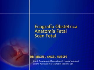 Ecografía Obstétrica
  Anatomía Fetal
  Scan Fetal


DR. MIGUEL ANGEL HUESPE
 Jefe de Departamento Materno Infantil - Hospital Santojanni
 Docente Autorizado de la Facultad de Medicina - UBA
 