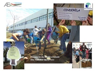 Promoção da Biodiversidade
Dia Mundial da Árvore
 