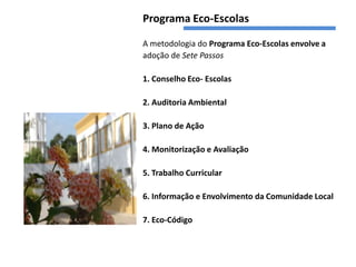 Programa Eco-Escolas

A metodologia do Programa Eco-Escolas envolve a
adoção de Sete Passos

1. Conselho Eco- Escolas

2. Auditoria Ambiental

3. Plano de Ação

4. Monitorização e Avaliação

5. Trabalho Curricular

6. Informação e Envolvimento da Comunidade Local

7. Eco-Código
 