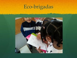Eco-brigadas
 