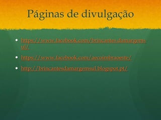 Páginas de divulgação
 https://www.facebook.com/brincantes.damargems
ul/
 https://www.facebook.com/aecoimbraoeste/
 http://brincantesdamargemsul.blogspot.pt/
 