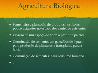 Agricultura Biológica
 Sementeira e plantação de produtos hortícolas
pouco exigentes no espaço dos canteiros existentes
 Criação de um espaço de horta a partir de paletes
 Germinação de sementes em garrafões de água,
para produção de plântulas e transplante para a
horta
 Germinação de sementes para consumo humano
 ...
 