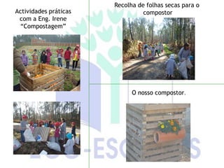 Recolha de folhas secas para o
Actividades práticas             compostor
 com a Eng. Irene
 “Compostagem”




                             O nosso compostor.
 