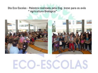 Dia Eco Escolas - Palestra realizada pela Eng. Irene para os avós
                 “ Agricultura Biológica”
 