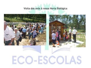 Visita dos avós à nossa Horta Biológica
 