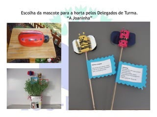 Escolha da mascote para a horta pelos Delegados de Turma.
                      “A Joaninha”
 