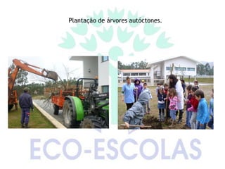 Plantação de árvores autóctones.
 