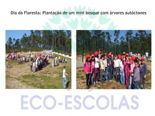 Dia da Floresta: Plantação de um mini bosque com árvores autóctones
 
