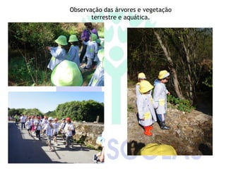 Observação das árvores e vegetação
       terrestre e aquática.
 