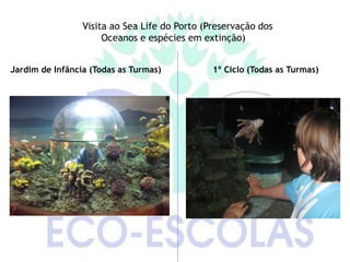 Visita ao Sea Life do Porto (Preservação dos
                      Oceanos e espécies em extinção)


Jardim de Infância (Todas as Turmas)           1º Ciclo (Todas as Turmas)
 