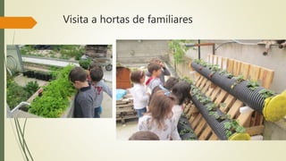 Visita a hortas de familiares
 