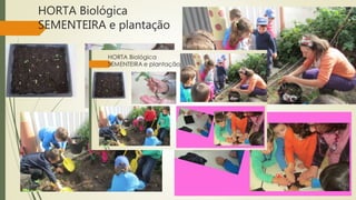 HORTA Biológica
SEMENTEIRA e plantação
 