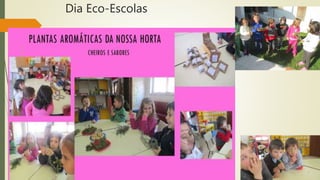 Dia Eco-Escolas
 
