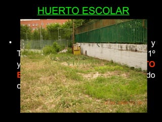 HUERTO ESCOLAR En Educación Física, Biología y Tecnología, parte del alumnado de  1º y 2º ESO continúa con el  HUERTO ESCOLAR  comenzado el pasado curso. ¡Pásate a verlo! 