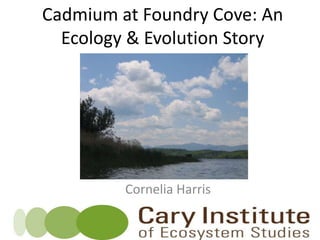 Cadmium at Foundry Cove: An
Ecology & Evolution Story
Cornelia Harris
 