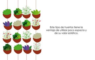 Este tipo de huertos tiene la
ventaja de utilizar poco espacio y
       de su valor estético.
 