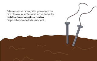 Este sensor se basa principalmente en
dos clavos. Al enterrarse en la tierra, la
resistencia entre estos cambia
dependiendo de la humedad.
 