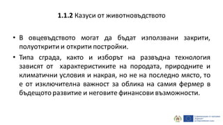 • В овцевъдството могат да бъдат използвани закрити,
полуоткрити и открити постройки.
• Типа сграда, както и изборът на развъдна технология
зависят от характеристиките на породата, природните и
климатични условия и накрая, но не на последно място, то
е от изключителна важност за облика на самия фермер в
бъдещото развитие и неговите финансови възможности.
1.1.2 Казуси от животновъдството
 