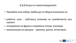 • Правейки този избор, трябва да се обърне внимание на:
• работна сила - собствена (членове на семейството) или
наемна
• осигуряване на фураж и затревени площи (пасища)
• механизация на процеса - хранене, доене, почистване
1.1.2 Казуси от животновъдството
 