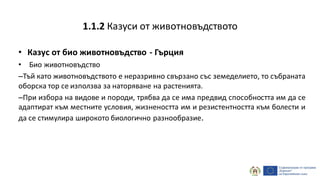 • Казус от био животновъдство - Гърция
• Био животновъдство
–Тъй като животновъдството е неразривно свързано със земеделието, то събраната
оборска тор се използва за наторяване на растенията.
–При избора на видове и породи, трябва да се има предвид способността им да се
адаптират към местните условия, жизнеността им и резистентността към болести и
да се стимулира широкото биологично разнообразие.
1.1.2 Казуси от животновъдството
 