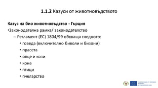 Казус на био животновъдство - Гърция
•Законодателна рамка/ законодателство
– Регламент (EC) 1804/99 обхваща следното:
• говеда (включително биволи и бизони)
• прасета
• овце и кози
• коне
• птици
• пчеларство
1.1.2 Казуси от животновъдството
 