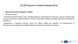 • Казус на био животновъдство - Гърция
• Пасищни площи
– Преживни животни (овце, кози и говеда) трябва да имат достъп до пасищата, докато климатичните
условия позволяват, докато всеядните (птици, прасета) би трябвало да бъдат допускани в дворовете
постоянно.
– Дворовете и пасищата (частни, наети или общи) трябва да отговарят на изискванията от
Регламентите и следователно трябва да бъдат включени в системата за контрол.
1.1.2 Казуси от животновъдството
 