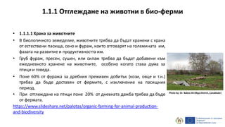 • 1.1.1.1 Храна за животните
• В биологичното земеделие, животните трябва да бъдат хранени с храна
от естествени пасища, сено и фураж, които отговарят на големината им,
фазата на развитие и продуктивността им.
• Груб фураж, пресен, сушен, или силаж трябва да бъдат добавени към
ежедневното хранене на животните, особено когато става дума за
птици и говеда.
• Поне 60% от фуража за дребния преживен добитък (кози, овце и т.н.)
трябва да бъде доставян от фермите, с изключение на пасищния
период.
• При отглеждане на птици поне 20% от дневната дажба трябва да бъде
от фермата.
https://www.slideshare.net/palotas/organic-farming-for-animal-production-
and-biodiversity
1.1.1 Отглеждане на животни в био-ферми
Photo by: Dr. Baboo Ali (Biga District, Çanakkale)
 