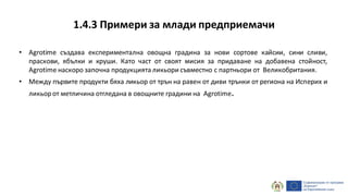 1.4.3 Примери за млади предприемачи
• Agrotime създава експериментална овощна градина за нови сортове кайсии, сини сливи,
праскови, ябълки и круши. Като част от своят мисия за придаване на добавена стойност,
Agrotime наскоро започна продукцията ликьори съвместно с партньори от Великобритания.
• Между първите продукти бяха ликьор от трън на равен от диви трънки от региона на Исперих и
ликьорот метличина отгледана в овощните градини на Agrotime.
 