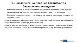 1.6 Биологичен контрол над вредителите в
биологичното земеделие
• Не всяко насекомо от вашата градина е вредно за отглежданите от вас култури.
• Някои от насекомите са вредни, но в по-голямата си част те са полезни.
• Полезните насекоми служат за защита на вашите растителни култури от
вредните такива.
– Някои насекоми са хищници и се хранят директно с най-вредните насекоми като
например калинки, бръмбари, богомолки и тн.
– Някои видове насекоми са известни като паразитоидни, които бавно убиват
вредните насекоми, като ги използват като приемник, напр. всички паразитни оси.
 