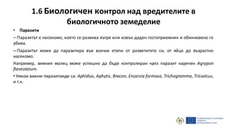 1.6 Биологичен контрол над вредителите в
биологичното земеделие
• Паразити
– Паразитът е насекомо, което се развива вътре или извън даден гостоприемник и обикновено го
убива.
– Паразитът може да паразитира във всички етапи от развититето си, от яйце до възрастно
насекомо.
Например, зимния молец може успешно да бъде контролиран чрез паразит наречен Agrypon
flaveolatum.
• Някои важни паразитоиди са: Aphidius, Aphytis, Bracon, Encarsia formosa, Trichogramma, Trissolcus,
и т.н.
 