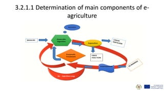3.2.1.1 Determination of main components of e-
agriculture
 