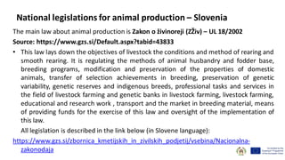National legislations for animal production – Slovenia
The main law about animal production is Zakon o živinoreji (ZŽiv) – UL 18/2002
Source: https://www.gzs.si/Default.aspx?tabid=43833
• This law lays down the objectives of livestock the conditions and method of rearing and
smooth rearing. It is regulating the methods of animal husbandry and fodder base,
breeding programs, modification and preservation of the properties of domestic
animals, transfer of selection achievements in breeding, preservation of genetic
variability, genetic reserves and indigenous breeds, professional tasks and services in
the field of livestock farming and genetic banks in livestock farming, livestock farming,
educational and research work , transport and the market in breeding material, means
of providing funds for the exercise of this law and oversight of the implementation of
this law.
All legislation is described in the link below (in Slovene language):
https://www.gzs.si/zbornica_kmetijskih_in_zivilskih_podjetij/vsebina/Nacionalna-
zakonodaja
 