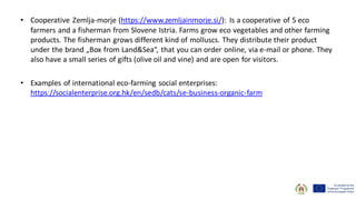 • Cooperative Zemlja-morje (https://www.zemljainmorje.si/): Is a cooperative of 5 eco
farmers and a fisherman from Slovene Istria. Farms grow eco vegetables and other farming
products. The fisherman grows different kind of molluscs. They distribute their product
under the brand „Box from Land&Sea“, that you can order online, via e-mail or phone. They
also have a small series of gifts (olive oil and vine) and are open for visitors.
• Examples of international eco-farming social enterprises:
https://socialenterprise.org.hk/en/sedb/cats/se-business-organic-farm
 
