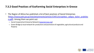 7.3.2 Good Practices of EcoFarming Social Enterprises in Greece
• The Region of Attica has published a list of best practices of Social Enterprises
(https://www.patt.gov.gr/site/attachments/article/13451/sinoptikos_odigos_kalon_praktiko
n.pdf). Among them we point out:
– Social CooperativeEnterprise Network (www.koinsep.org)
– Green Bridge (a localnetwork for productionand promotionof vegetables, agriculturalproductsand
flowers)
 