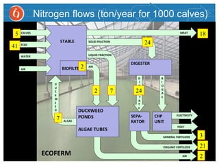 27
41
5
2
2 7
7
24
18
3
21
2
Nitrogen flows (ton/year for 1000 calves)
24
 