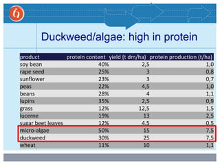 product protein content yield (t dm/ha) protein production (t/ha)
soy bean 40% 2,5 1,0
rape seed 25% 3 0,8
sunflower 23% 3 0,7
peas 22% 4,5 1,0
beans 28% 4 1,1
lupins 35% 2,5 0,9
grass 12% 12,5 1,5
lucerne 19% 13 2,5
sugar beet leaves 12% 4,5 0,5
micro-algae 50% 15 7,5
duckweed 30% 25 7,5
wheat 11% 10 1,1
Duckweed/algae: high in protein
 