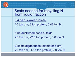 Scale needed for recycling N
from liquid fraction
0.4 ha duckweed inside
10 ton dm, 3 ton protein, 0.48 ton N
5 ha duckweed pond outside
75 ton dm, 22.5 ton protein, 3.6 ton N
220 km algae tubes (diameter 6 cm)
29 ton dm, 17.7 ton protein, 2.8 ton N
 