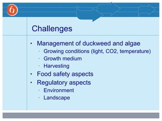 • Management of duckweed and algae
• Growing conditions (light, CO2, temperature)
• Growth medium
• Harvesting
• Food safety aspects
• Regulatory aspects
• Environment
• Landscape
Challenges
 