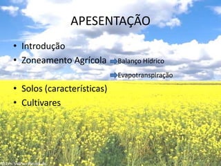 APESENTAÇÃOIntroduçãoZoneamento Agrícola     Balanço HídricoEvapotranspiraçãoSolos (características)Cultivares