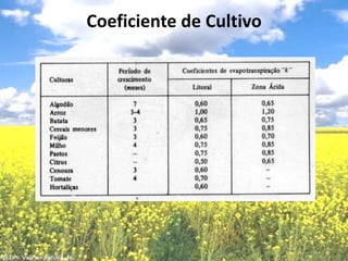Coeficiente de Cultivo