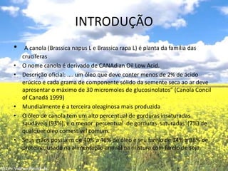 INTRODUÇÃOA canola (Brassicanapus L e Brassica rapa L) é planta da família das crucíferasO nome canola é derivado de CANAdianOilLowAcid.Descrição oficial: .... um óleo que deve conter menos de 2% de ácido erúcico e cada grama de componente sólido da semente seca ao ar deve apresentar o máximo de 30 micromoles de glucosinolatos” (CanolaConcilof Canadá 1999)Mundialmente é a terceira oleaginosa mais produzidaO óleo de canola tem um alto percentual de gorduras insaturadas saudáveis (93%), e o menor  percentual  de gorduras  saturadas  (7%) de qualquer óleo comestível comum.Seus grãos possuem de 40% a 46% de óleo e seu farelo de 34% a 38% de proteína, usado na alimentação animal na mistura com farelo de soja.