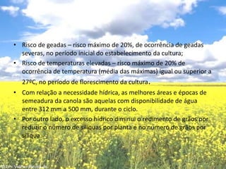 Risco de geadas – risco máximo de 20%, de ocorrência de geadas severas, no período inicial do estabelecimento da cultura;Risco de temperaturas elevadas – risco máximo de 20% de ocorrência de temperatura (média das máximas) igual ou superior a 27ºC, no período de florescimento da cultura.Com relação a necessidade hídrica, as melhores áreas e épocas de semeadura da canola são aquelas com disponibilidade de água entre 312 mm a 500 mm, durante o ciclo.Por outro lado, o excesso hídrico diminui o redimento de grãos por reduzir o número de síliquas por planta e no número de grãos por síliqua.