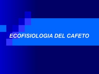 ECOFISIOLOGIA DEL CAFETO
 